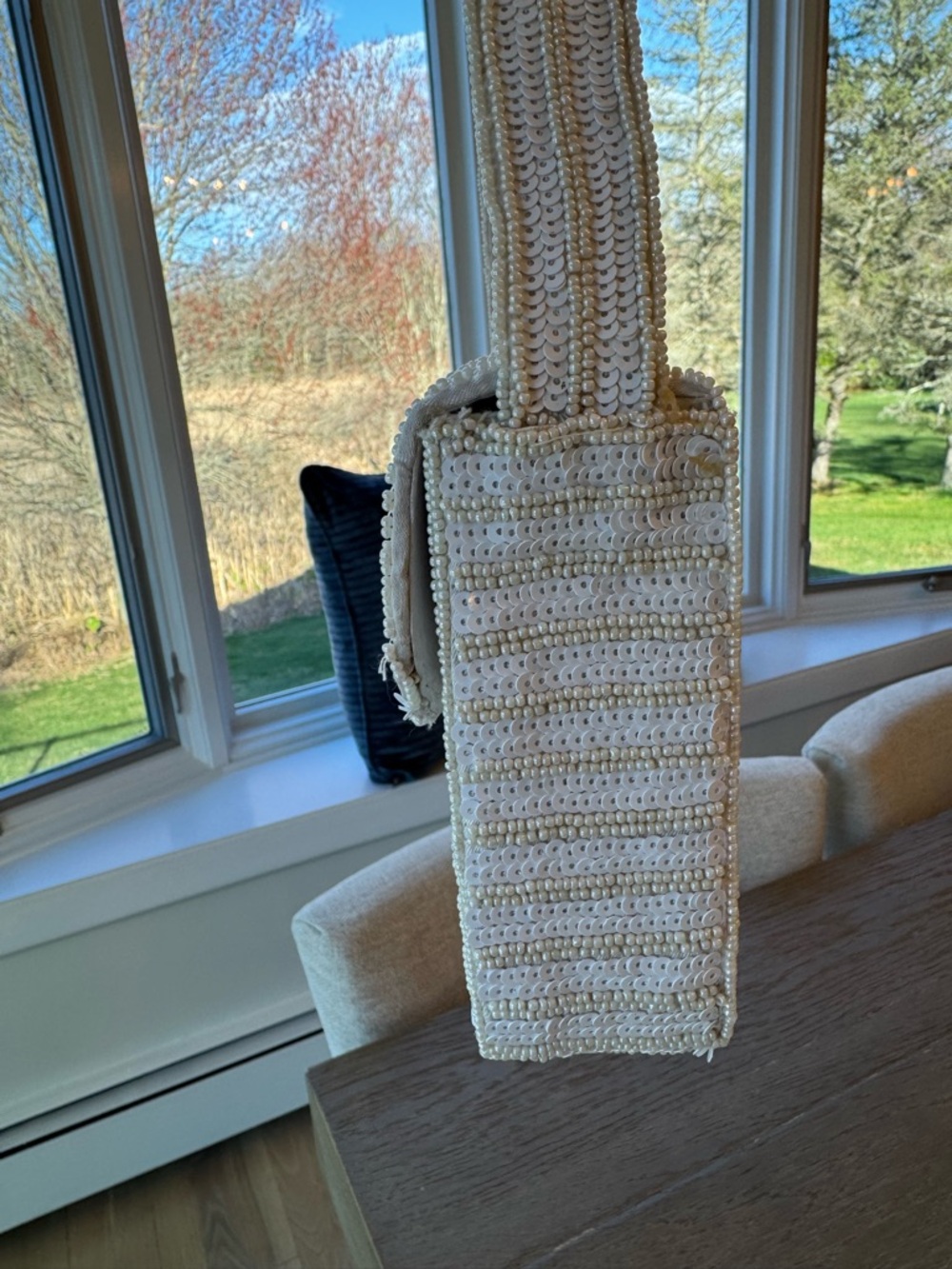 Tik Tok Viral Beaded Lobster Bag - Picture 11 of 11